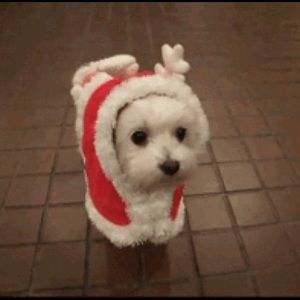 Meet your Posher, Valeria